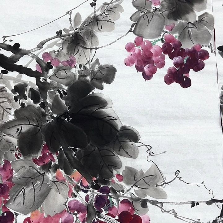 横款福利待遇多多开心