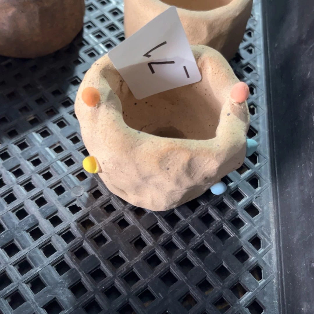 红陶婷*Z71花盆1个