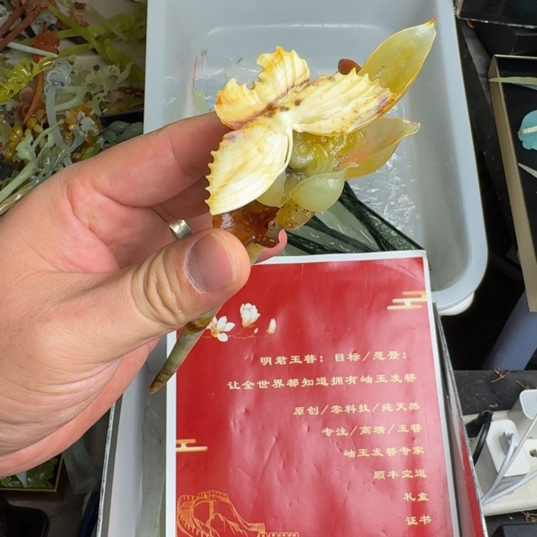 蛇纹石玉未镶嵌发饰