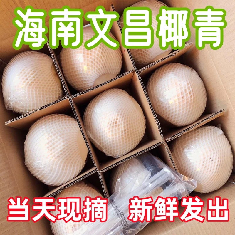 【普通快递 创欣果椰】海南椰青9个装新鲜椰子孕妇水果文昌椰汁椰子