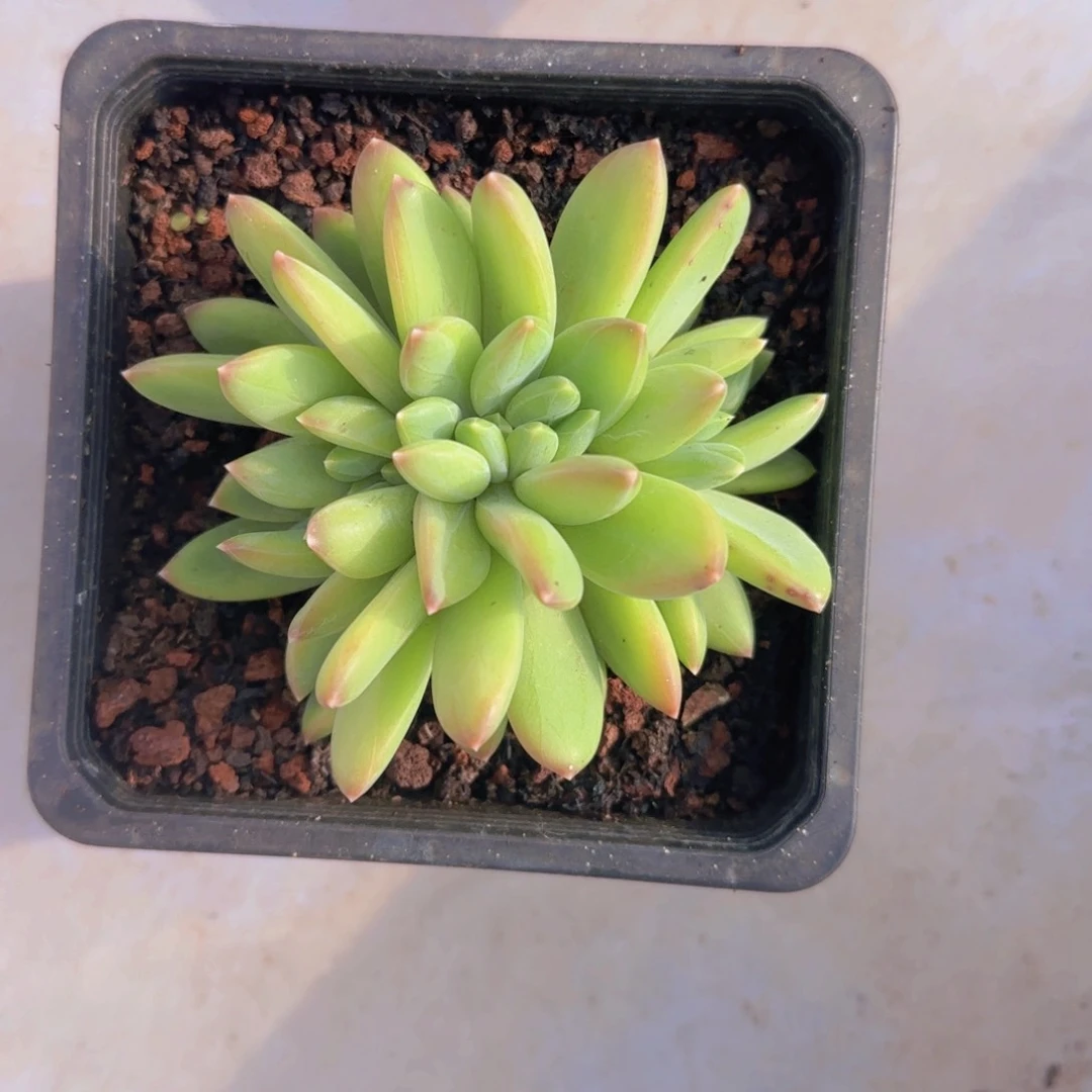 海洋缀福利111111111