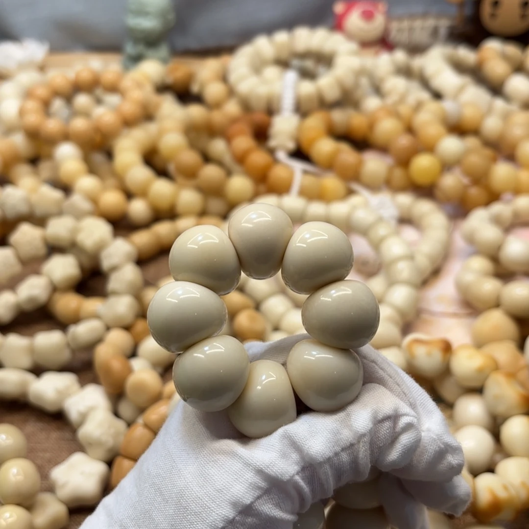 菩提根/象牙果吊坠21+干磨牙果山竹一锅501