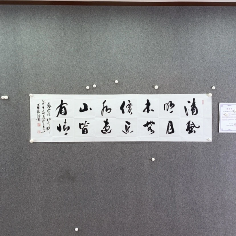 【闪购商品】书法书法作品欣赏，书法书法