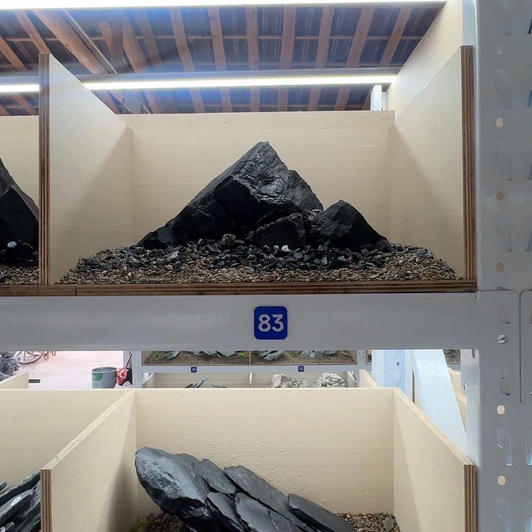 83号造景1-4底沙10斤 送黑色小碎石