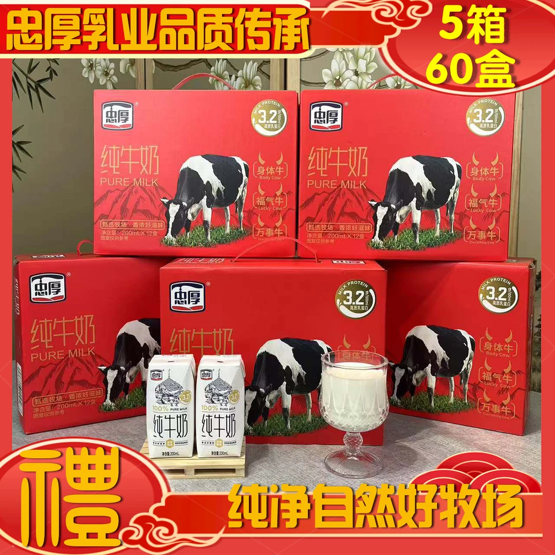 忠厚红色礼盒纯牛奶200ml*12盒*5箱 3.2蛋白儿童学生成人牛奶