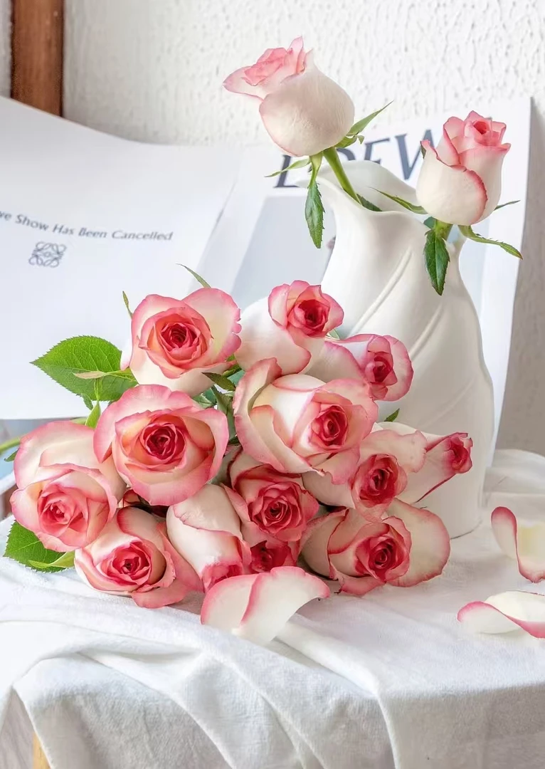 【艾莎福利】艾莎+红色腊梅+银柳+向日葵+尤加利叶