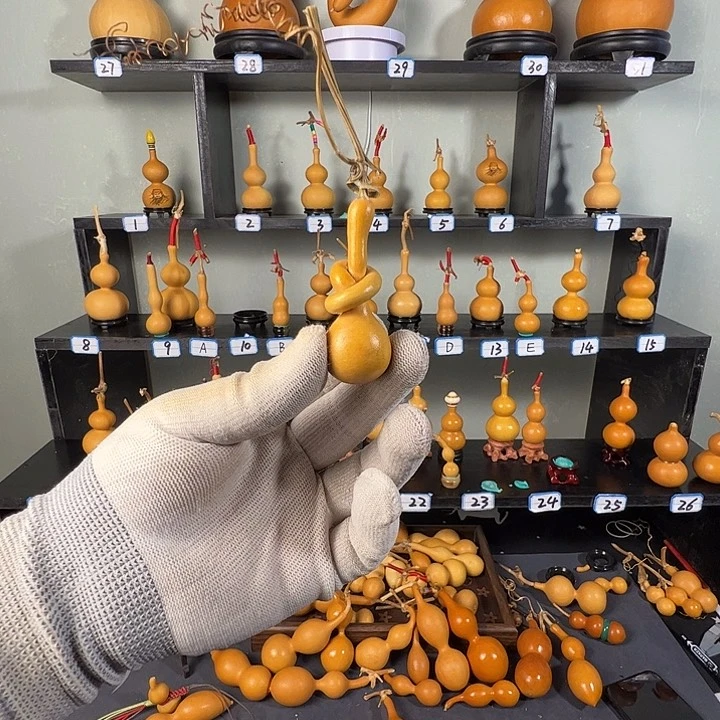 舒*垚八宝八宝八宝八宝