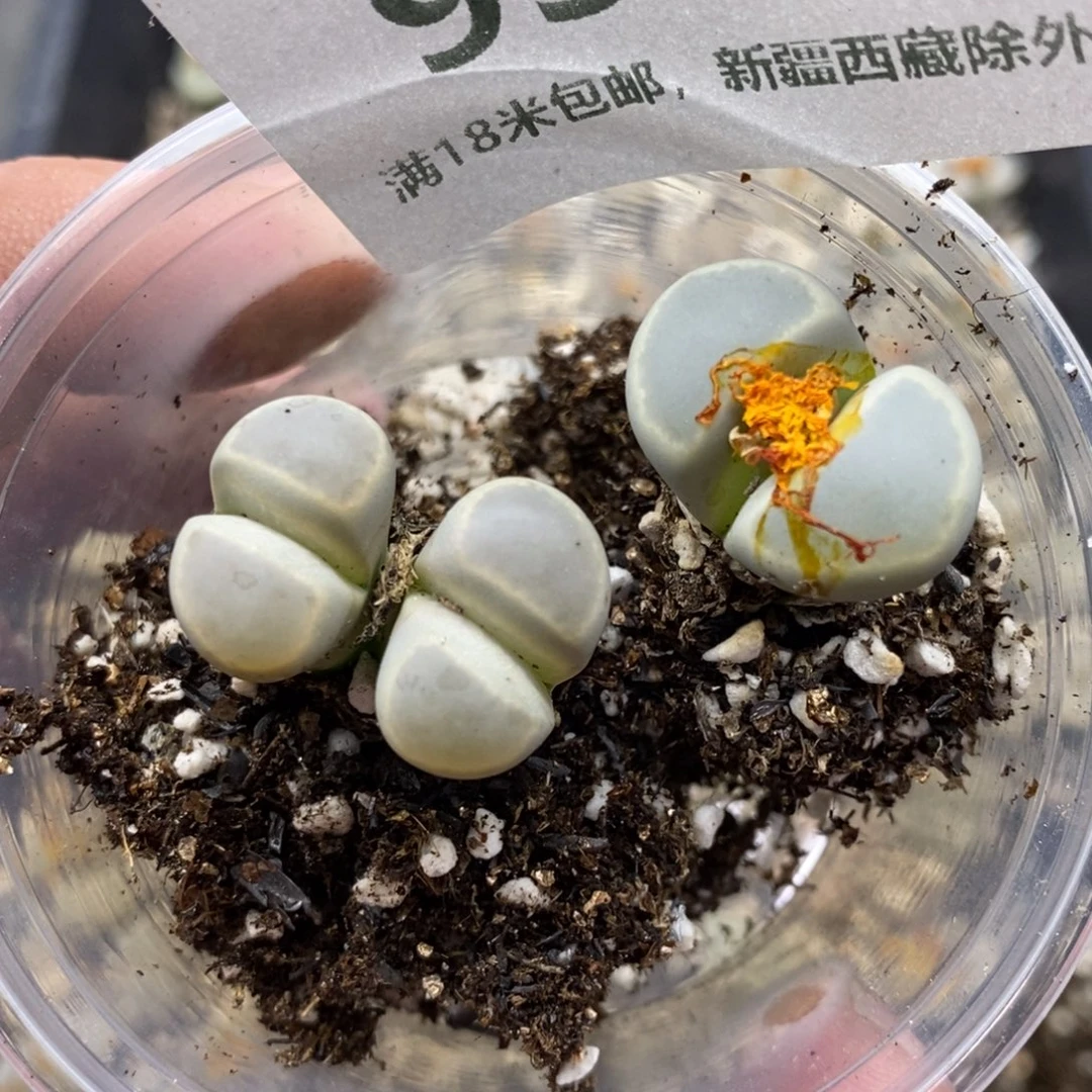 9357。
