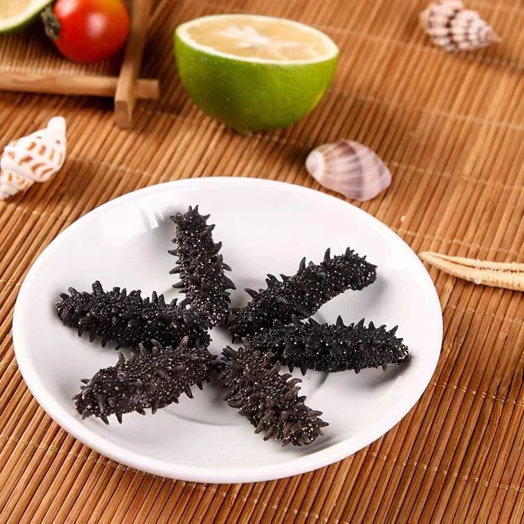 国标海参  泡发率高口感好吃 90-100头 250g
