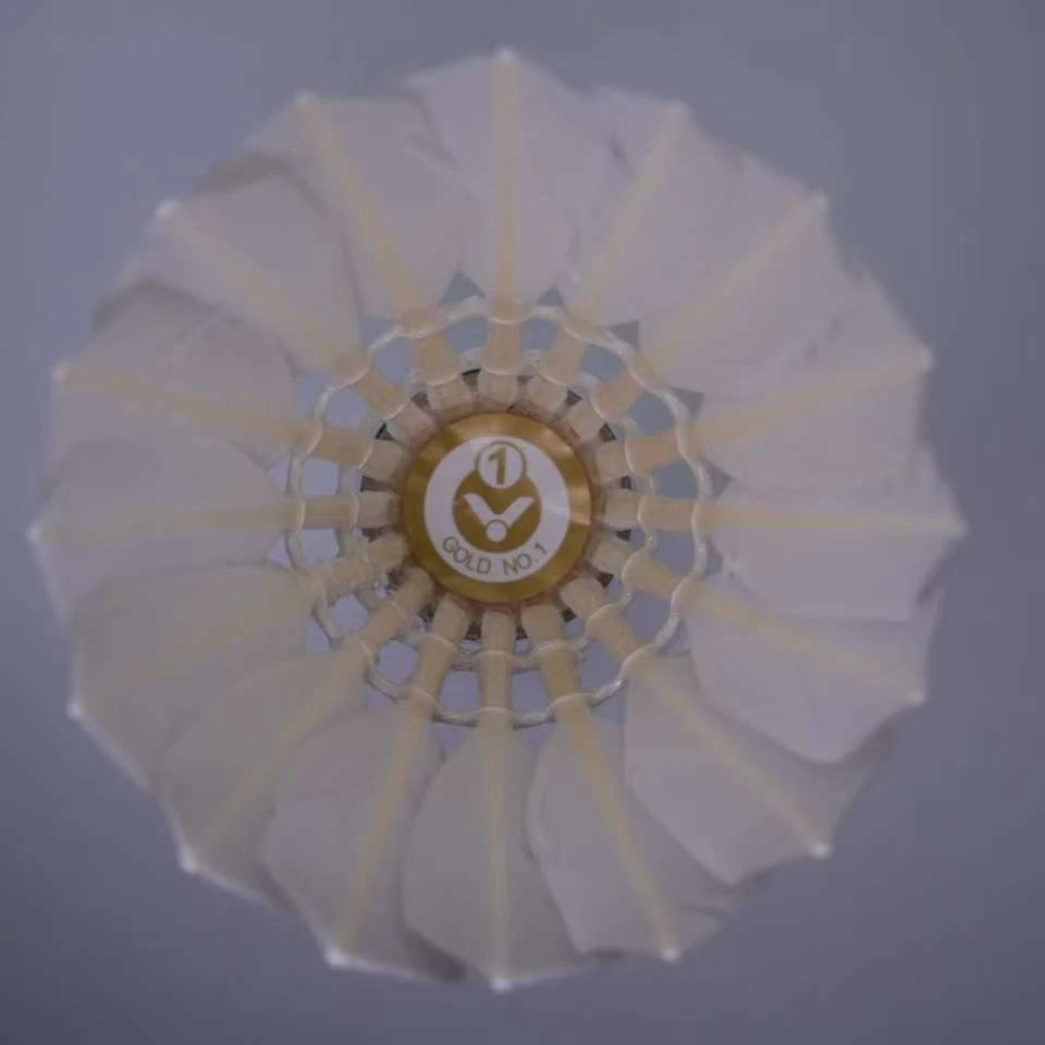 羽翊耐打精修复羽毛球 SL系列