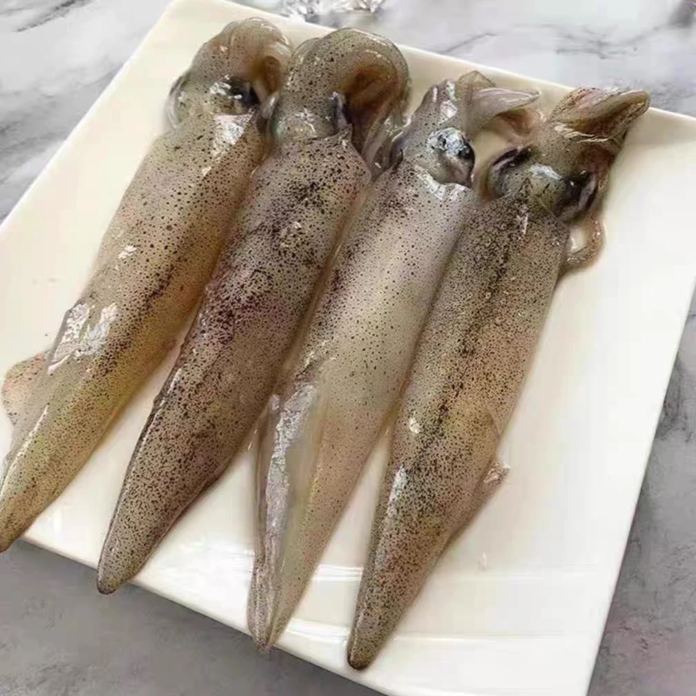 鲜活海兔子笔管鱼顺丰包邮3包送一包到手4包