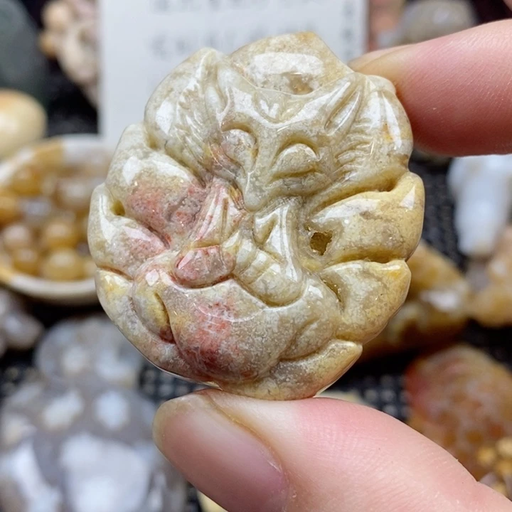 硅化珊瑚（珊瑚玉）颈饰未镶嵌