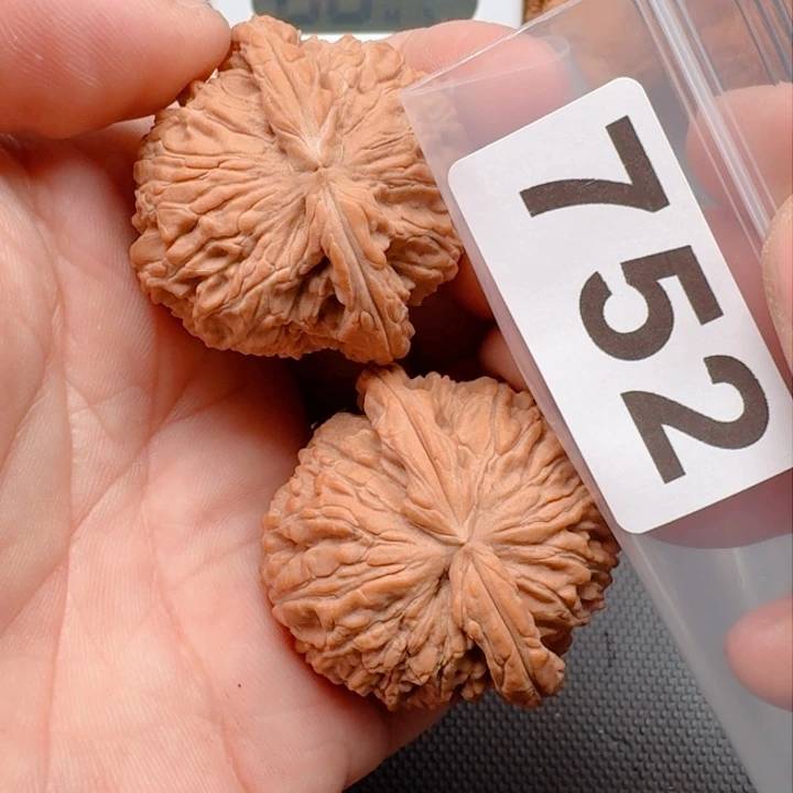 文玩核桃把件用****6白狮41