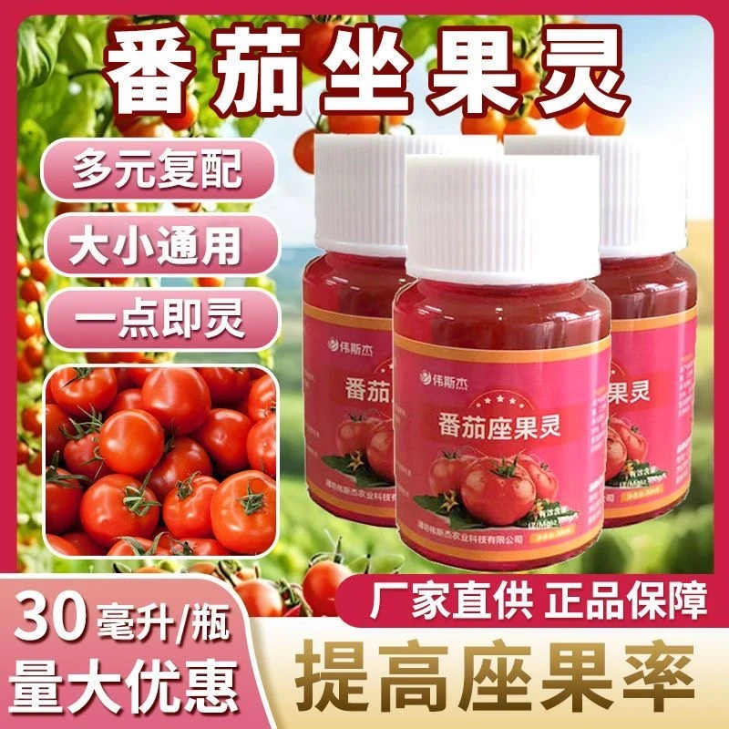 小番茄座果灵膨大防落素大棚室内外西红柿授粉专用坐果灵