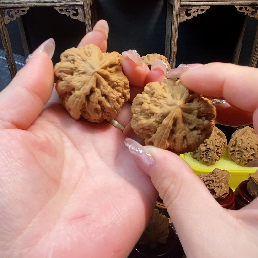 N***i核桃全品无修大粗筋