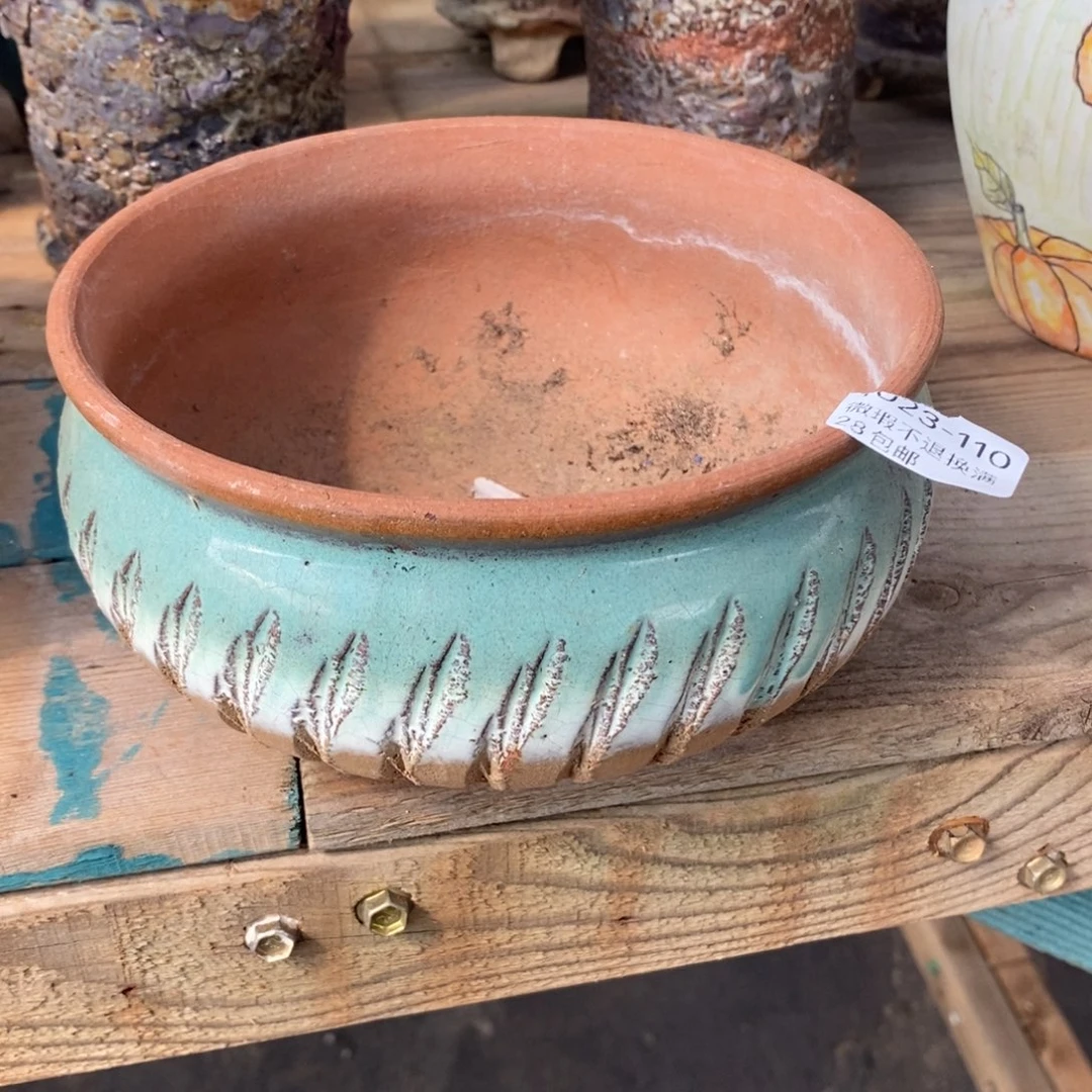 110号多肉盆辣椒15