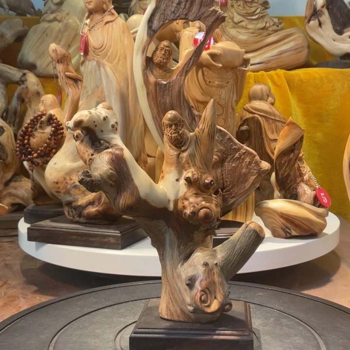 柏木崖柏    达摩