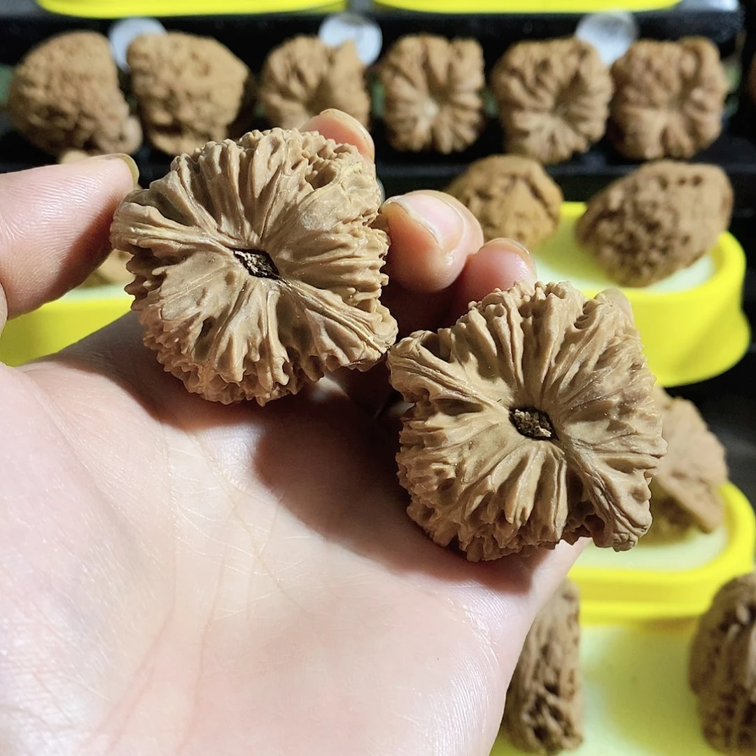 木质类有黄桃，今天是不是