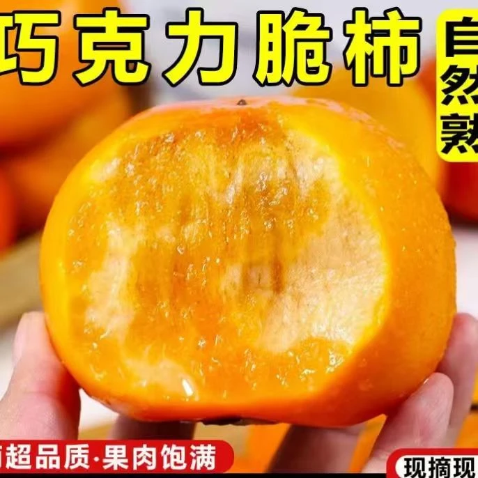正宗阳丰新鲜应季巧克力脆甜柿子带皮吃不涩口多汁无籽