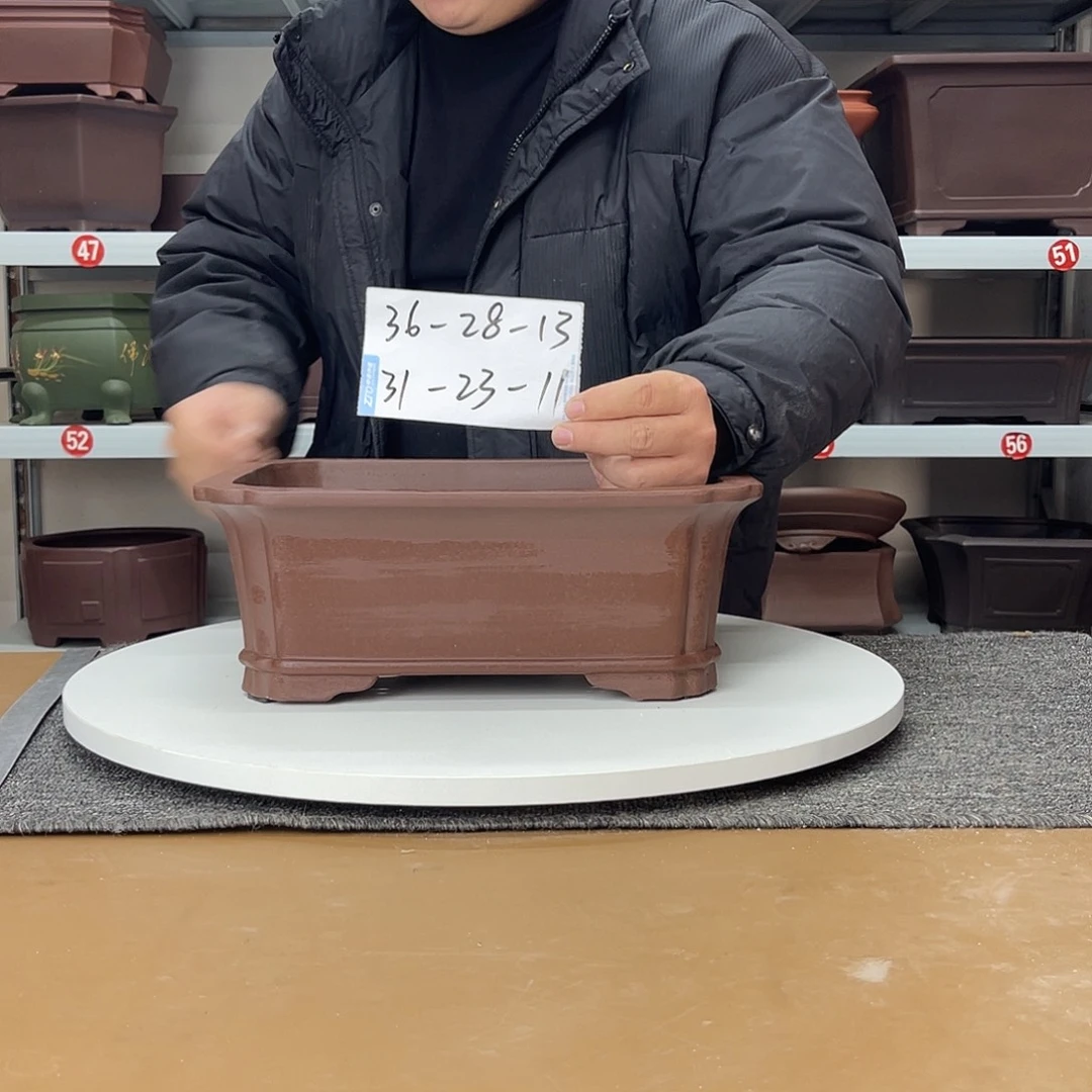 花盆紫砂在上一次