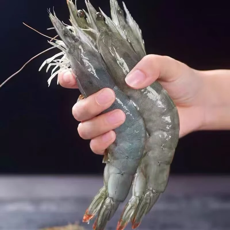 【海水大虾4斤】肉质鲜甜脆嫩 大个头海水大虾 单只15-18cm一盒4斤50-60只 多仓发货顺丰次日达海虾