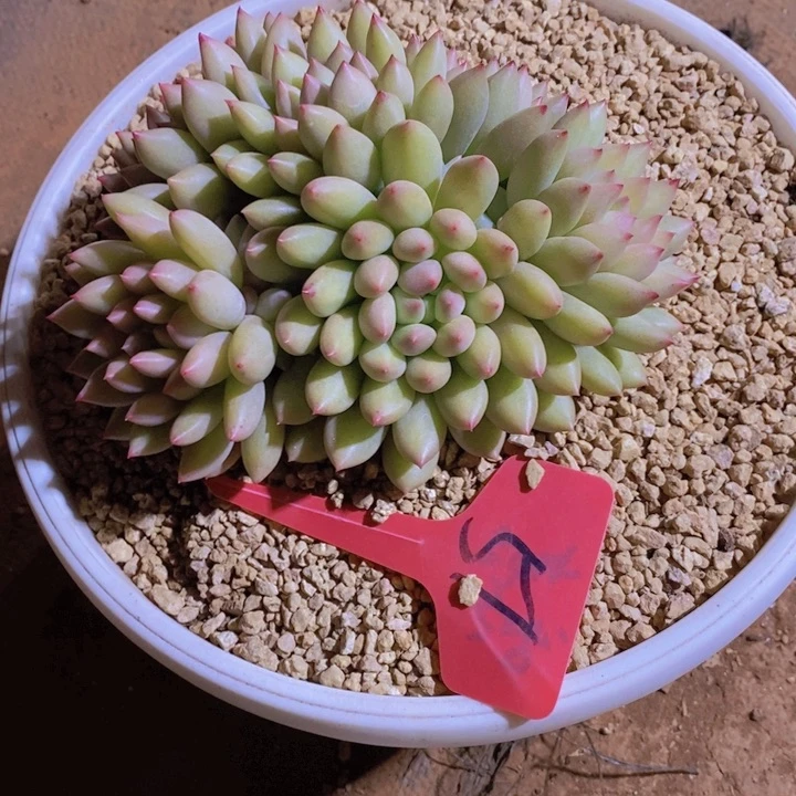 这个我就知道这事