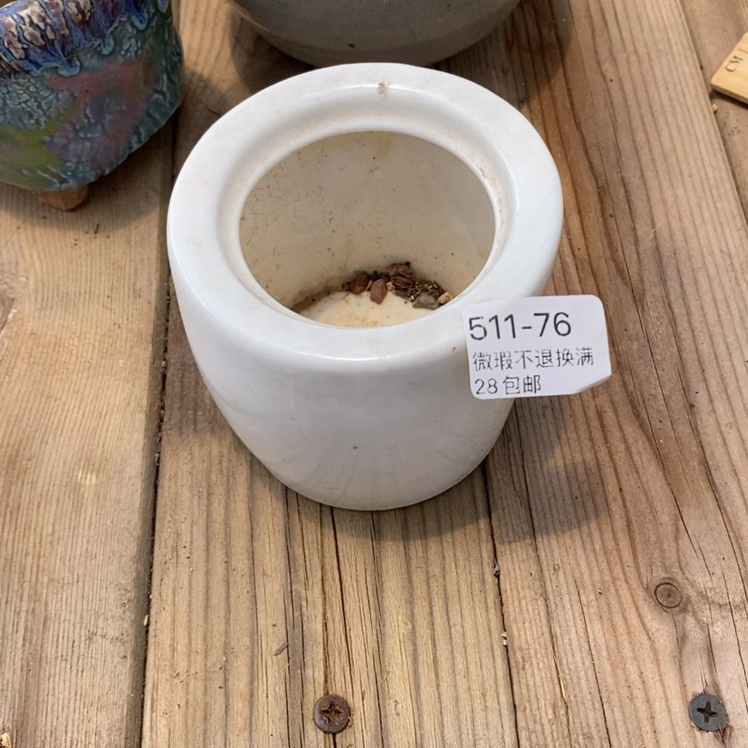 ?****?76号多肉盆一个呀