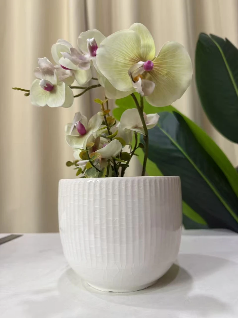 口14高12简约风格大口径加厚家用树脂塑料花盆适合多种绿植盆栽