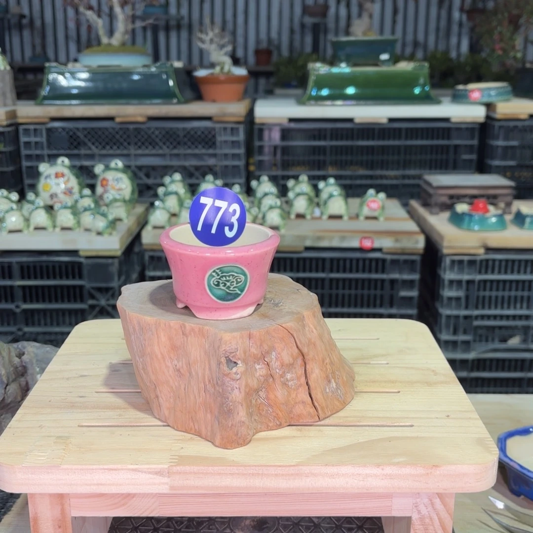 敖***夜全场盆景773号包邮