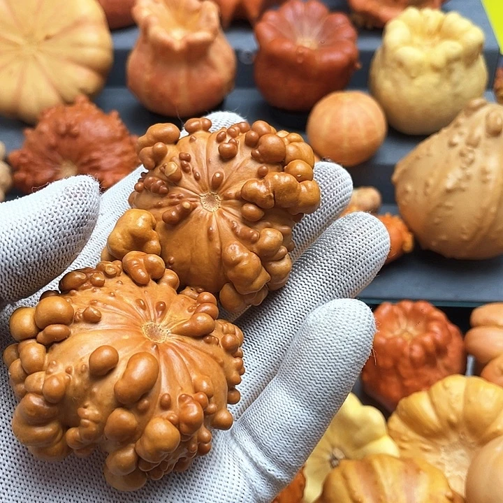 清***新墨西哥家居摆件创意