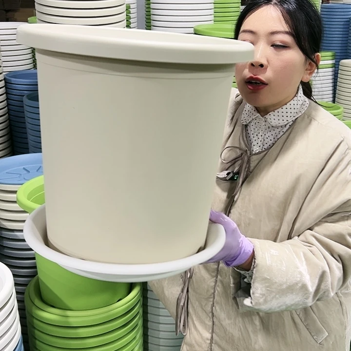 特价7号四季口33高33米色4只带托