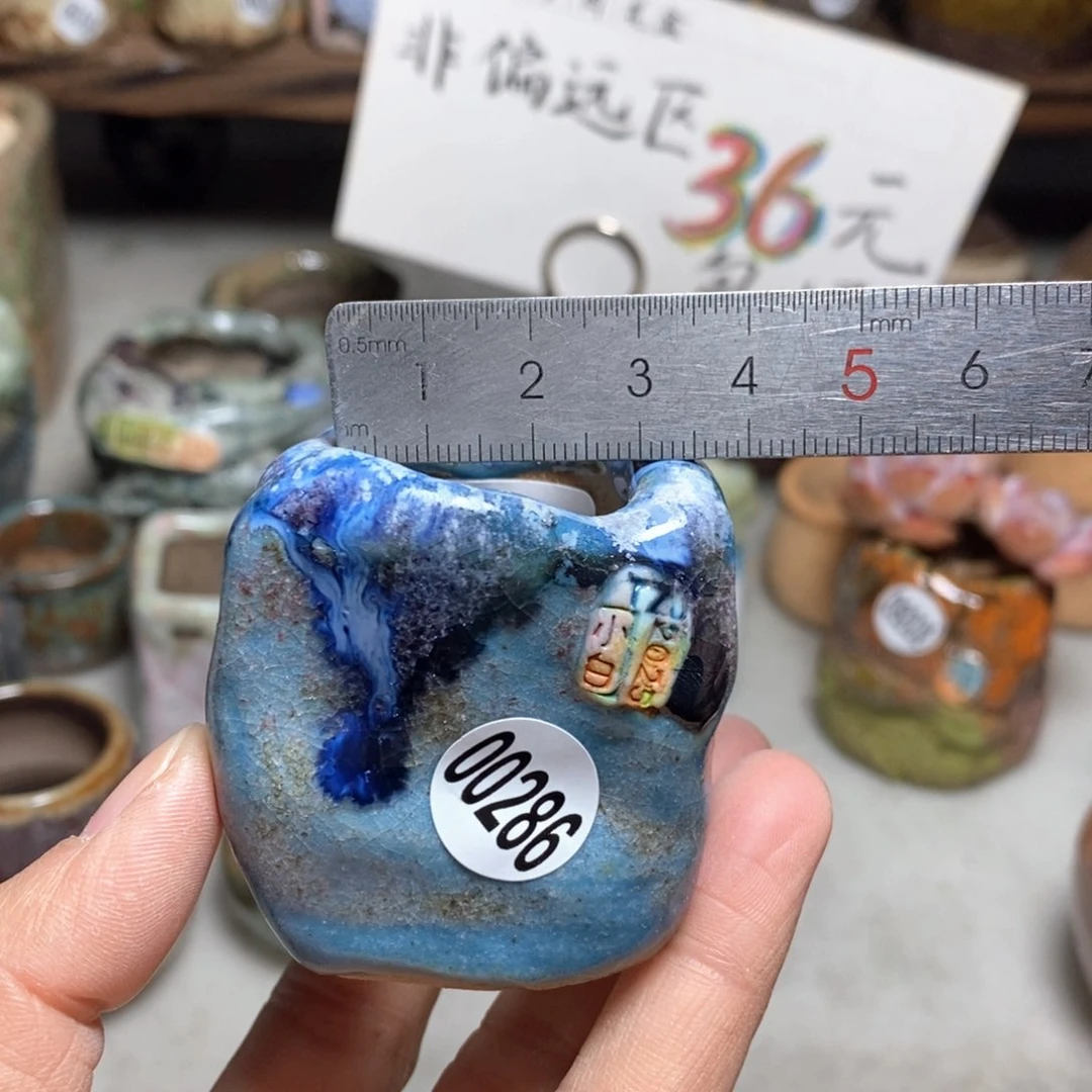 花盆拍3送一个小礼物