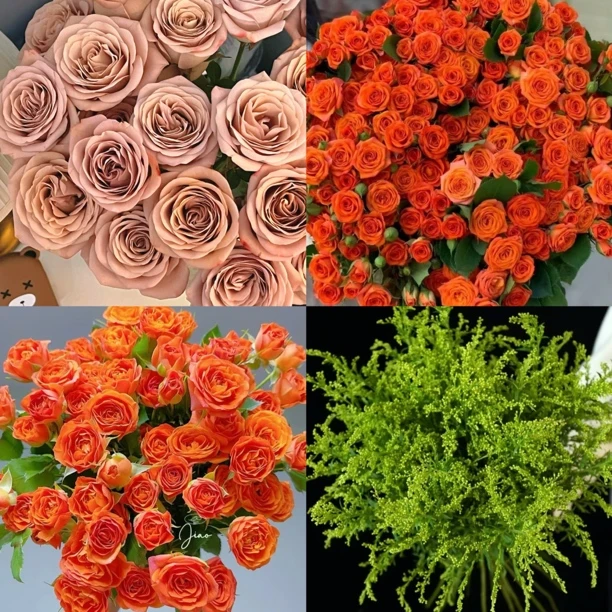 云影优选【卡布奇诺7支+橙色芭比5支+随机配草5支】云南鲜花批发次日达顺丰包邮鲜花套餐组合