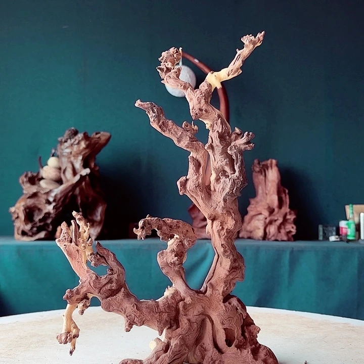 黑果木吉**相020金丝红木羊蹄甲半成品