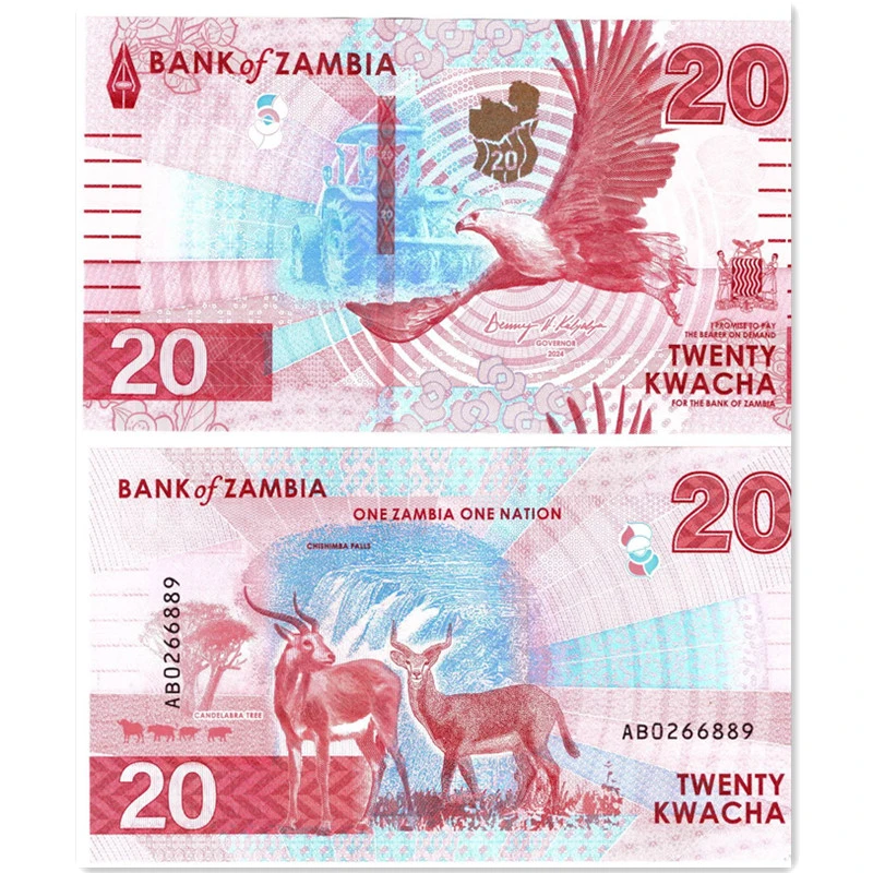 赞比亚20克瓦查纸币 2024(2025)年鹰 版非洲钱币全新UNC