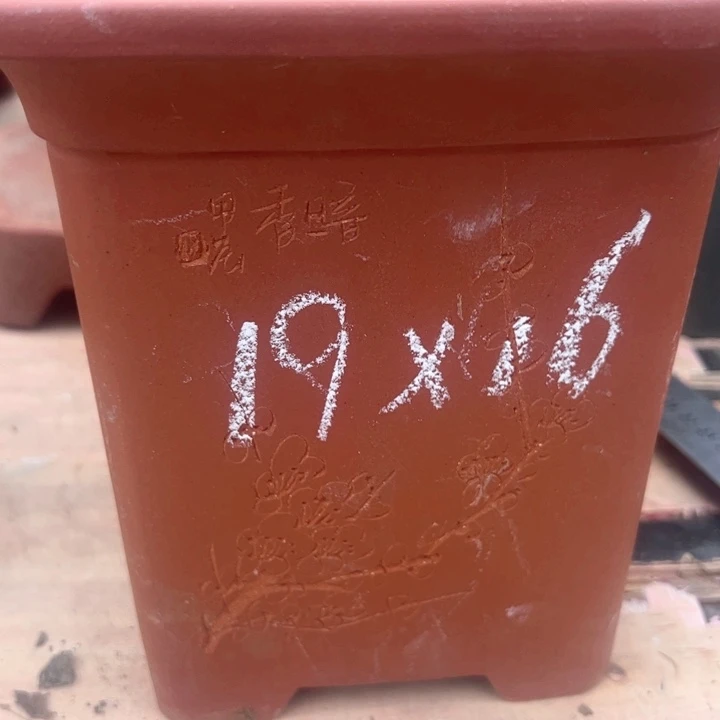 红陶紫砂兰花盆无暇