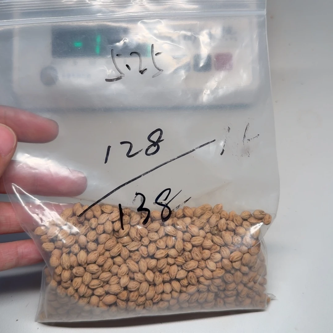 柏香籽/百香籽吊坠