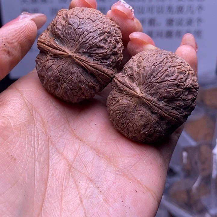 核桃云南野生铁核桃176号37mm