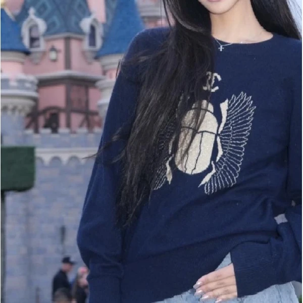 妃鱼/香奈儿/山羊绒/毛衣/95新/Z911