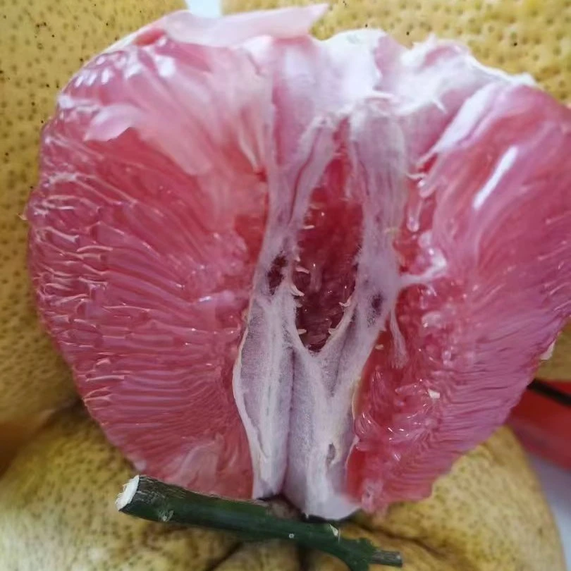 正宗老树广丰大南马家柚江西上饶特产红心柚现摘现发普通果品质好