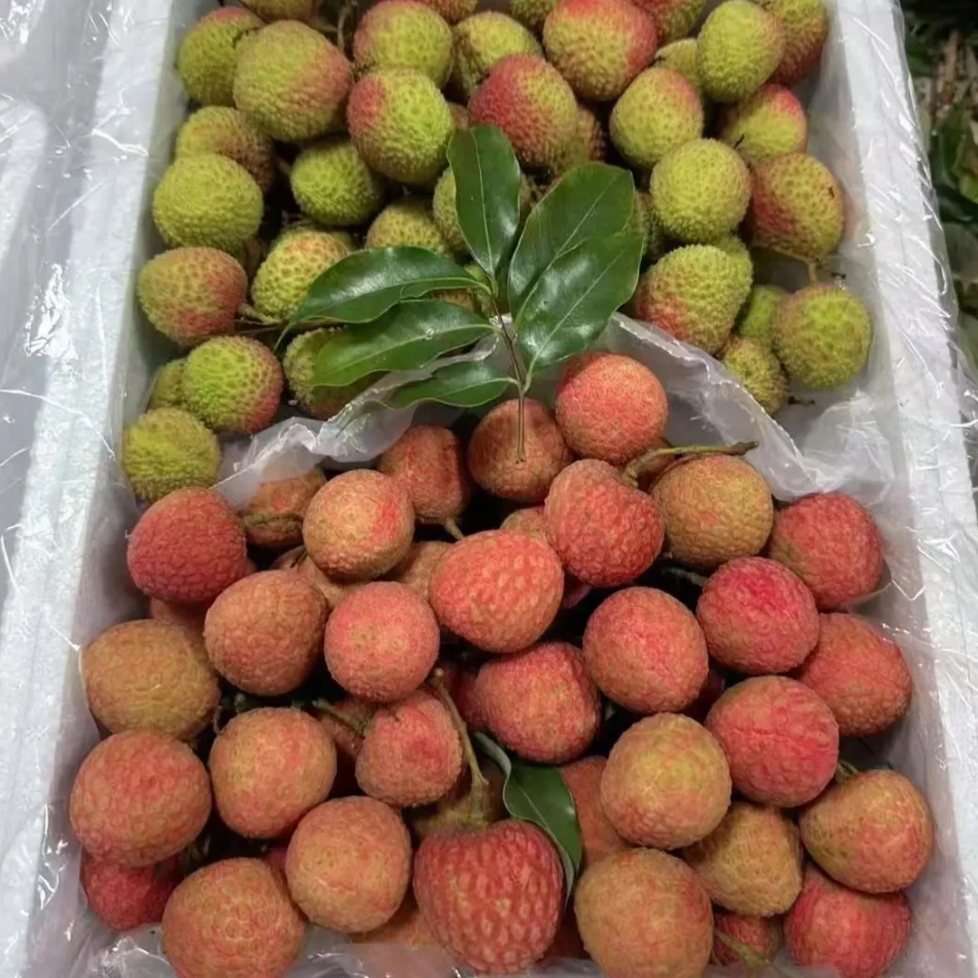 混装【白糖罂妃子笑】香甜荔枝当季新鲜水果核小肉厚顺丰冷链3/5斤