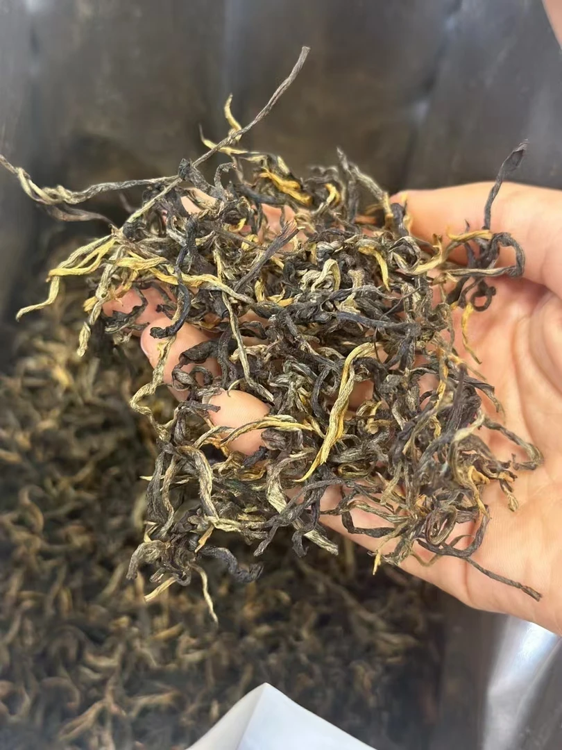 云南滑竹梁子古树晒红太阳甜花果香