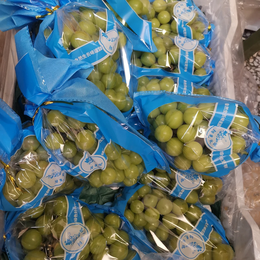 阳光玫瑰（一串装）