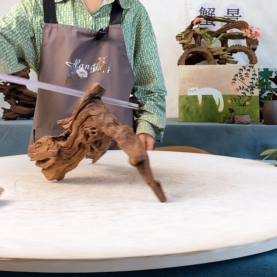 沉木造景寄居蟹造景