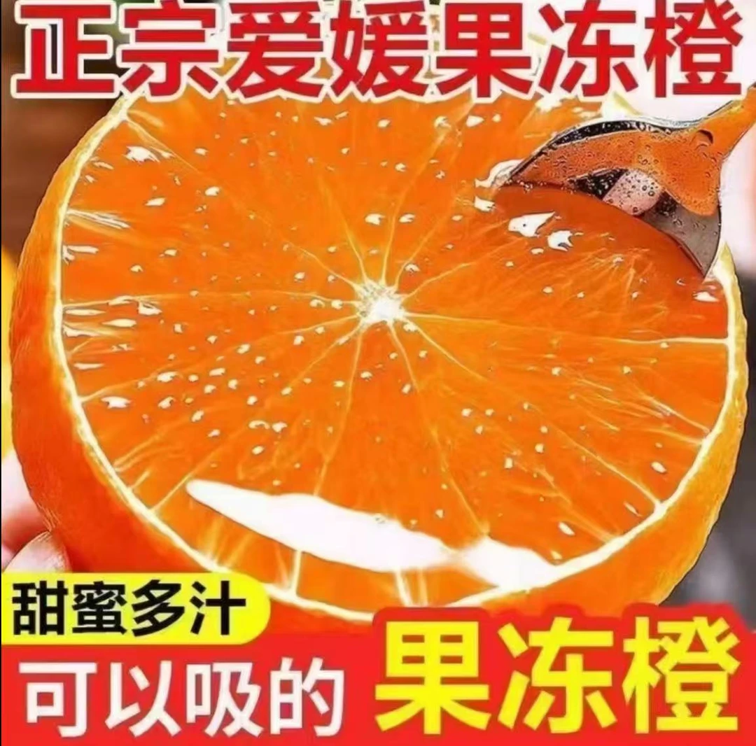 四川眉山爱媛果冻橙现摘现发皮薄多汁