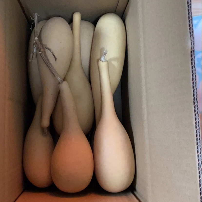 【闪购商品】十个瓜条子30块钱