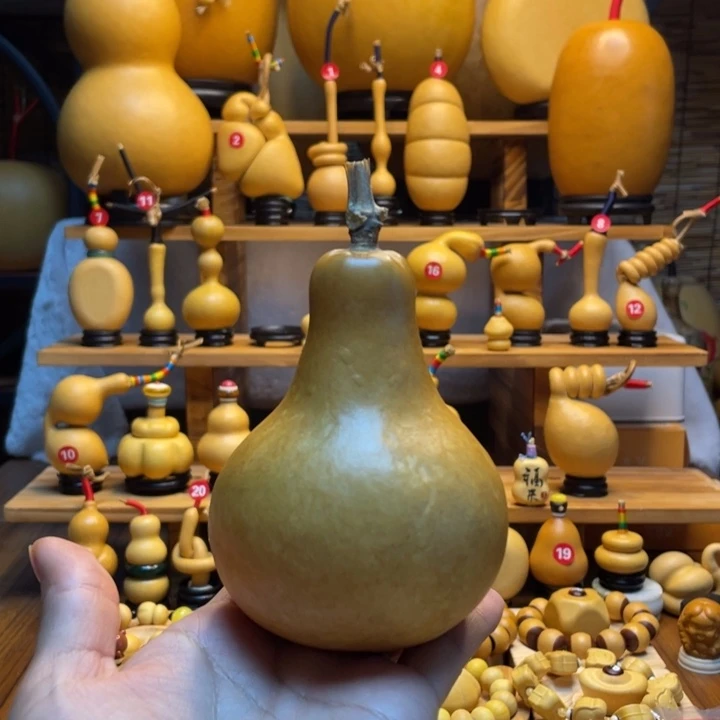 半***夏天然葫芦自然生长