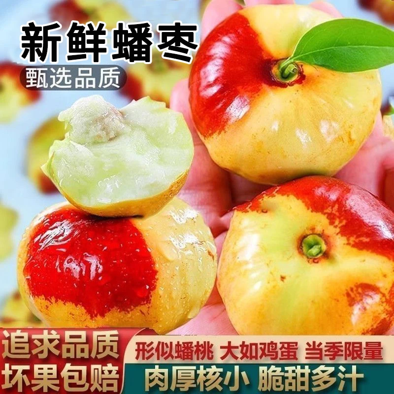 【顺丰】蟠枣新鲜现摘蜜罐枣非大荔冬枣脆甜青枣孕妇当季大果一整箱