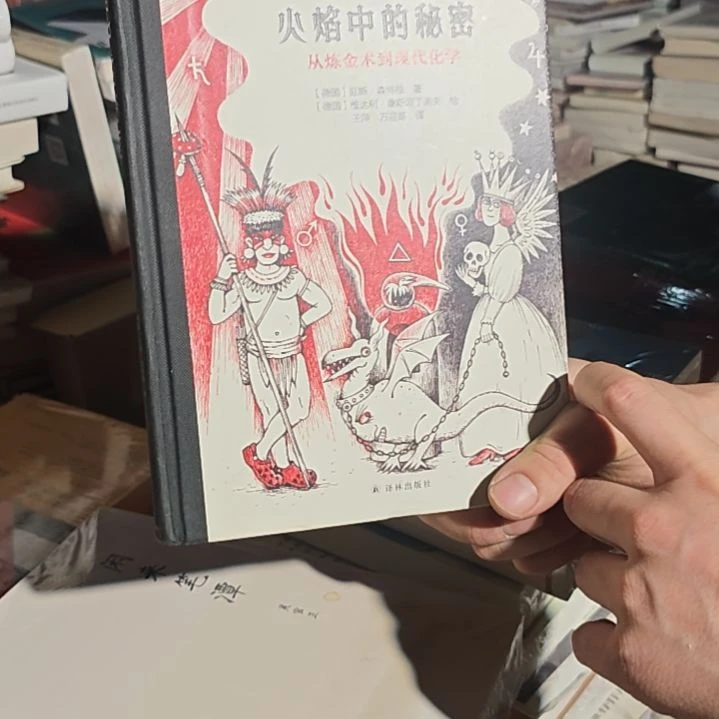 火焰中的秘密精装（务必塑封）