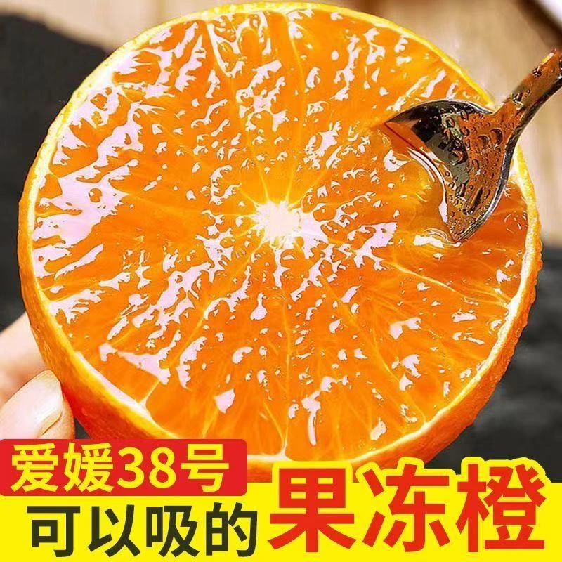 四川核心产区爱媛38号果冻橙新鲜采摘爆甜多汁
